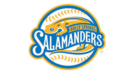 Holly-Springs-Logo